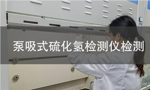 泵吸式硫化氢检测仪检测