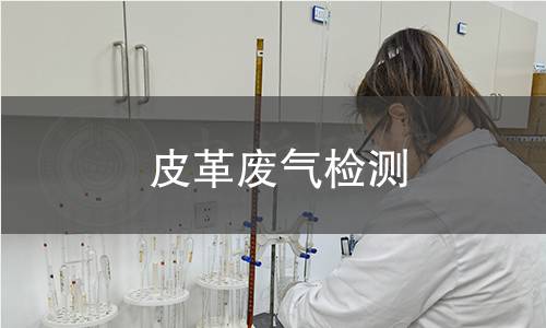 皮革废气检测