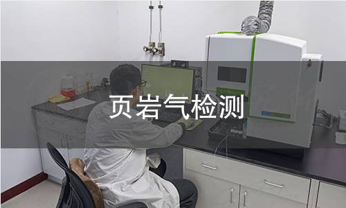 页岩气检测