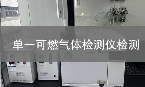 单一可燃气体检测仪检测