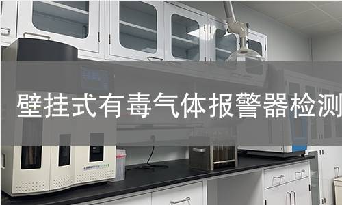 壁挂式有毒气体报警器检测