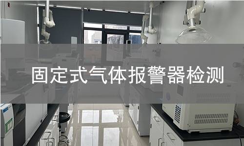 固定式气体报警器检测
