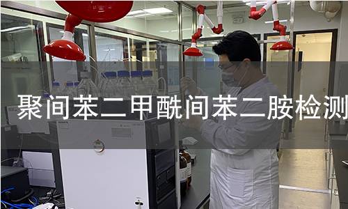 聚间苯二甲酰间苯二胺检测 聚间苯二甲酰间苯二胺检测