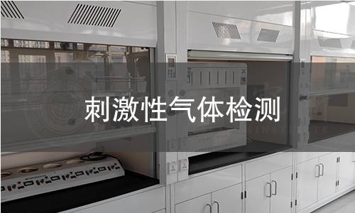 刺激性气体检测 刺激性气体检测