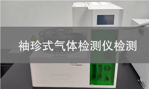袖珍式气体检测仪检测