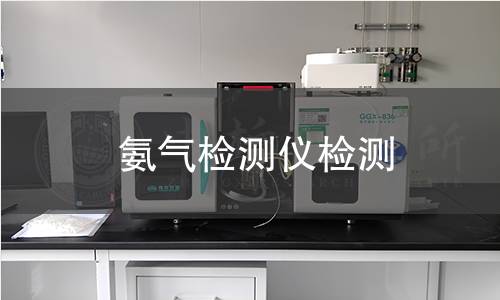 氨气检测仪检测