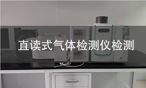 直读式气体检测仪检测