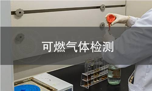可燃气体检测 可燃气体检测