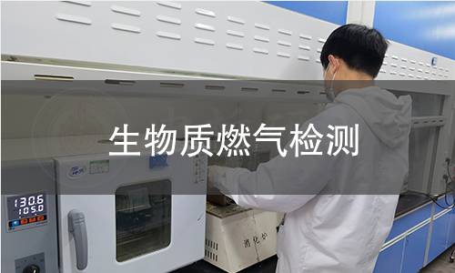 生物质燃气检测