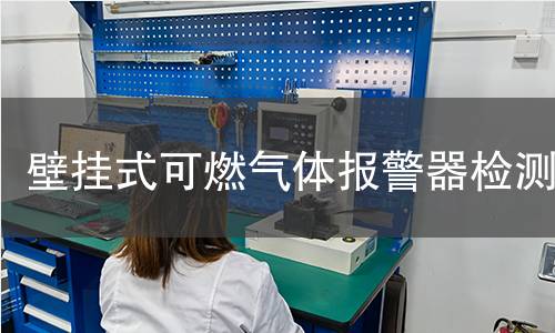 壁挂式可燃气体报警器检测
