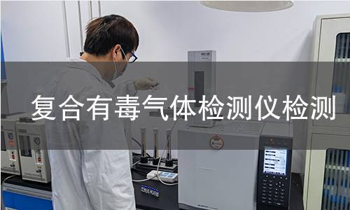复合有毒气体检测仪检测