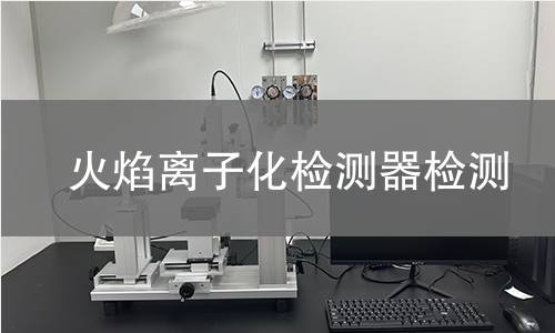 火焰离子化检测器检测