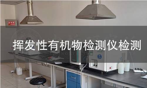 挥发性有机物检测仪检测