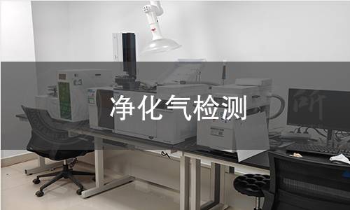 净化气检测