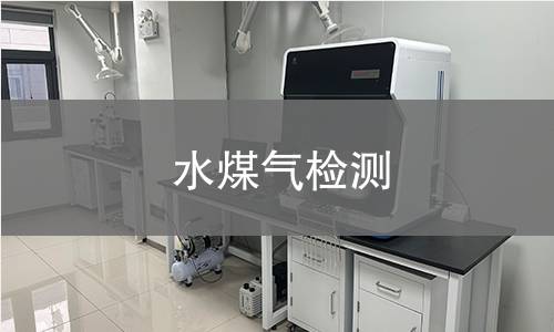 水煤气检测 水煤气检测