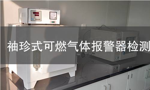 袖珍式可燃气体报警器检测