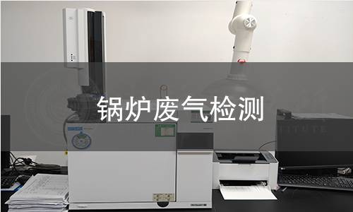 锅炉废气检测