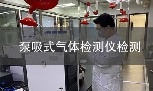 泵吸式气体检测仪检测