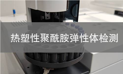 热塑性聚酰胺弹性体检测