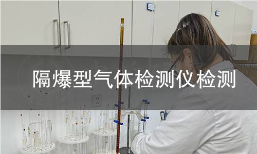 隔爆型气体检测仪检测