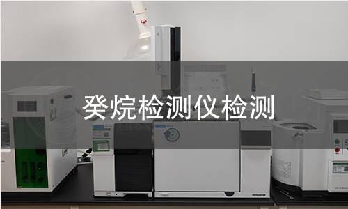 癸烷检测仪检测