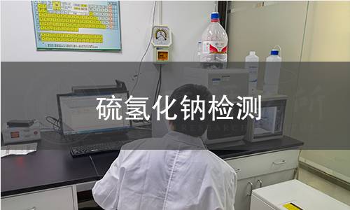 硫氢化钠检测 硫氢化钠检测