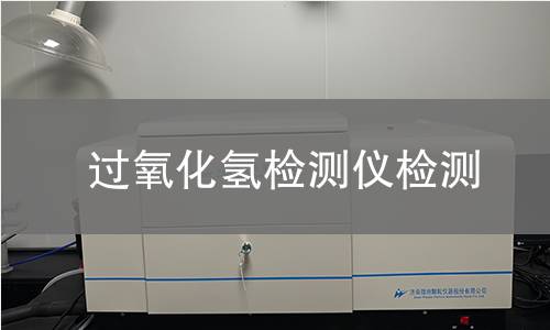 过氧化氢检测仪检测