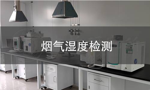 烟气湿度检测 烟气湿度检测