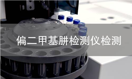 偏二甲基肼检测仪检测