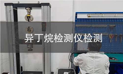 异丁烷检测仪检测