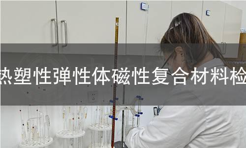 热塑性弹性体磁性复合材料检测