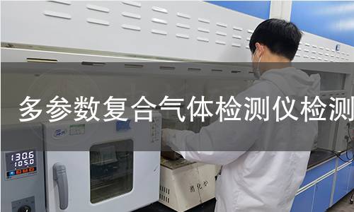 多参数复合气体检测仪检测