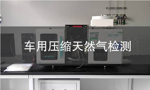 车用压缩天然气检测 车用压缩天然气检测