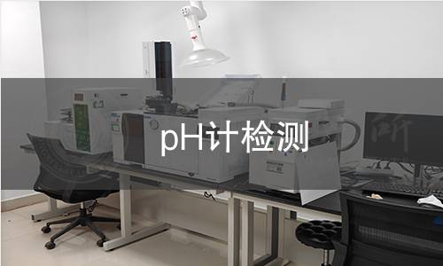 pH计检测