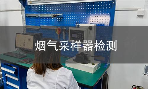 烟气采样器检测