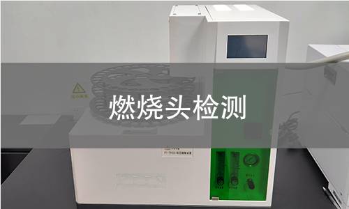 燃烧头检测