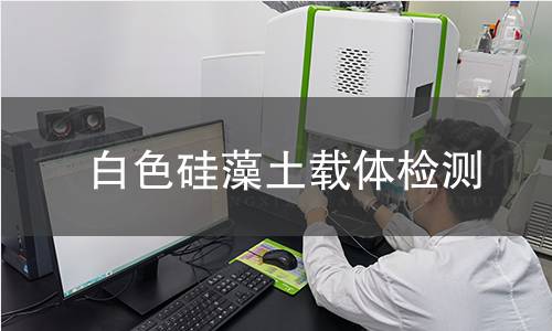 白色硅藻土载体检测