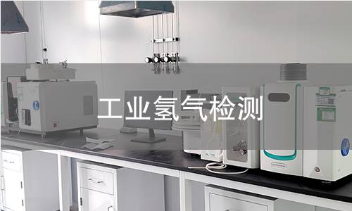 工业氢气检测 工业氢气检测
